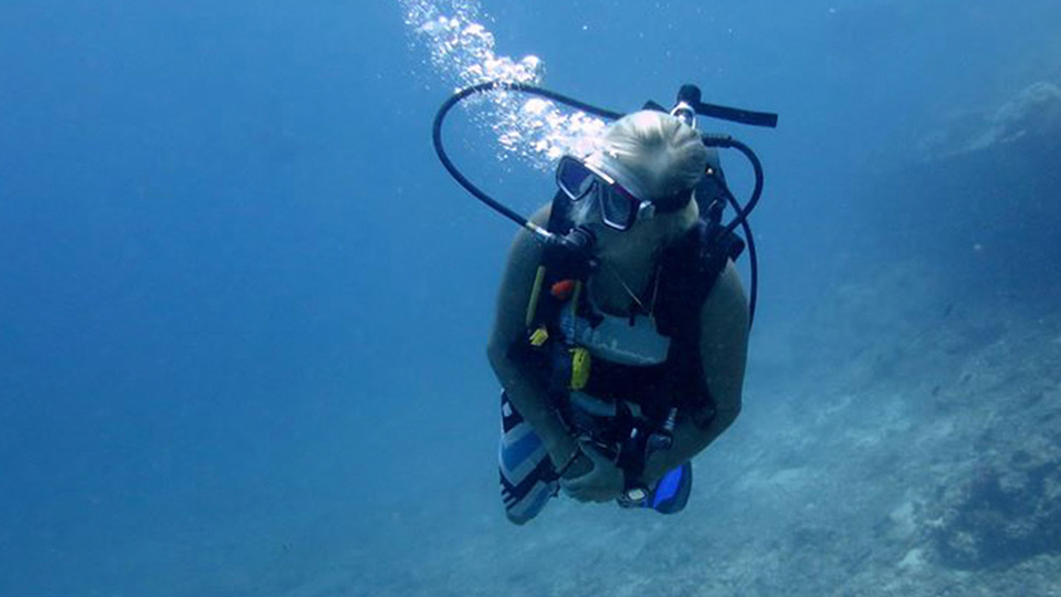 Diver At Abu Galawa Soraya Red Sea Egypt