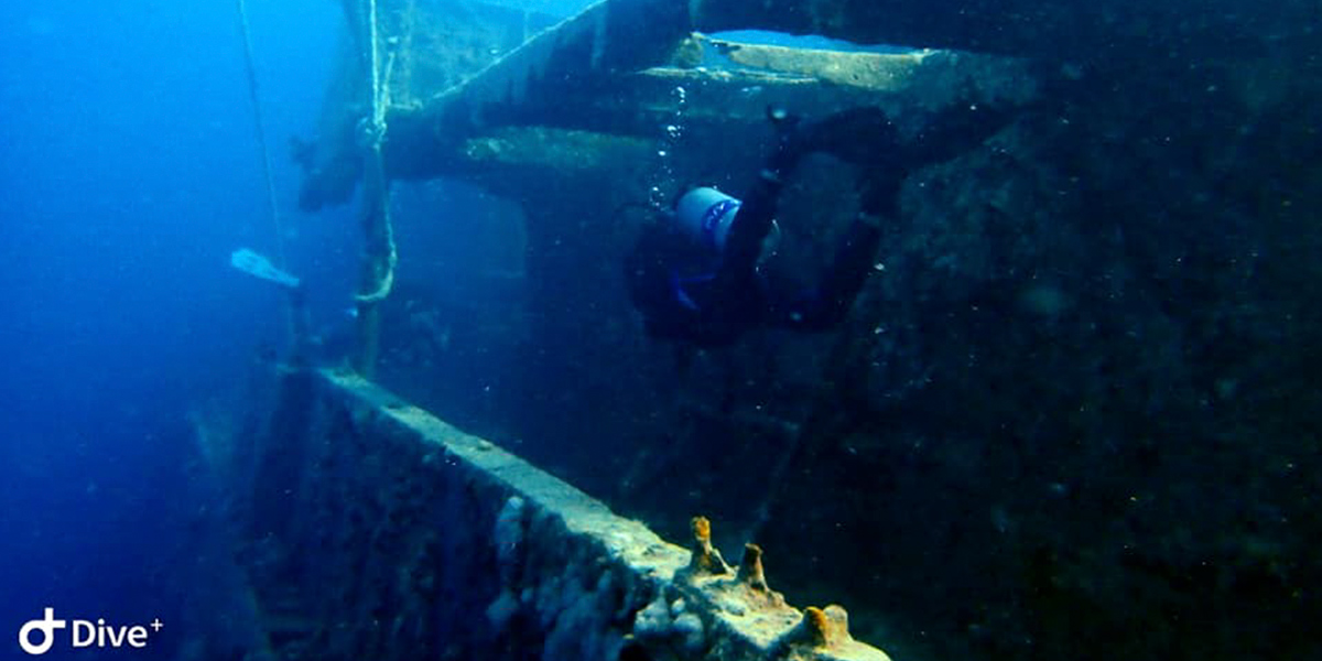 Diver At Salem Express Egypt