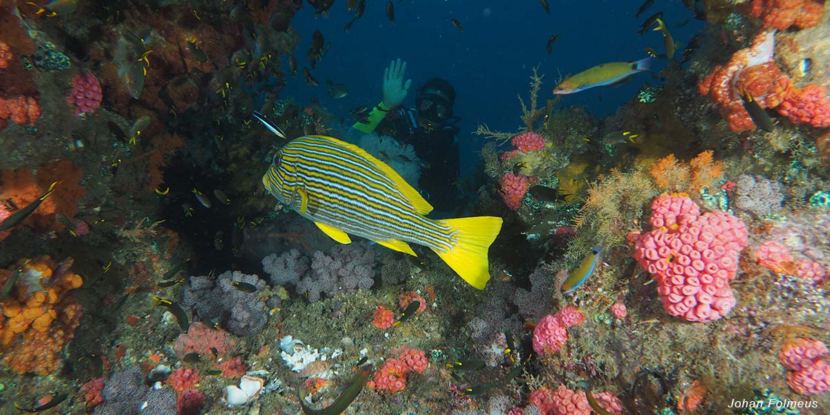 Raja Ampat