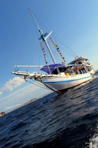 KLM Tidak ApaPa Indonesia liveaboard diving Komodo
