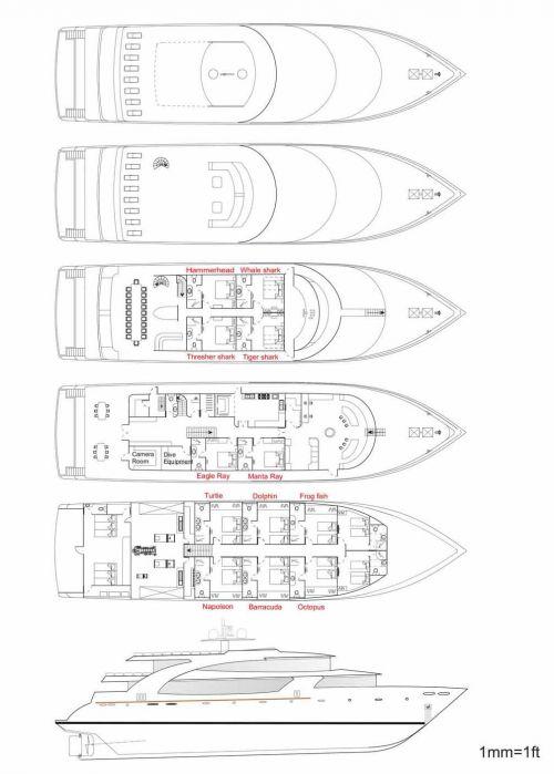 Carpe-Novo-deck-plan