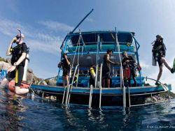 Liveaboard-diving-Dolphin-Queen-dive-platform