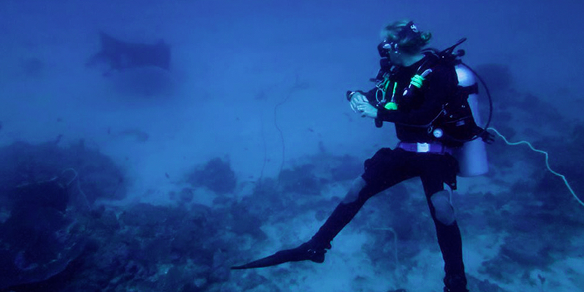High Rock Liveaboard Diving