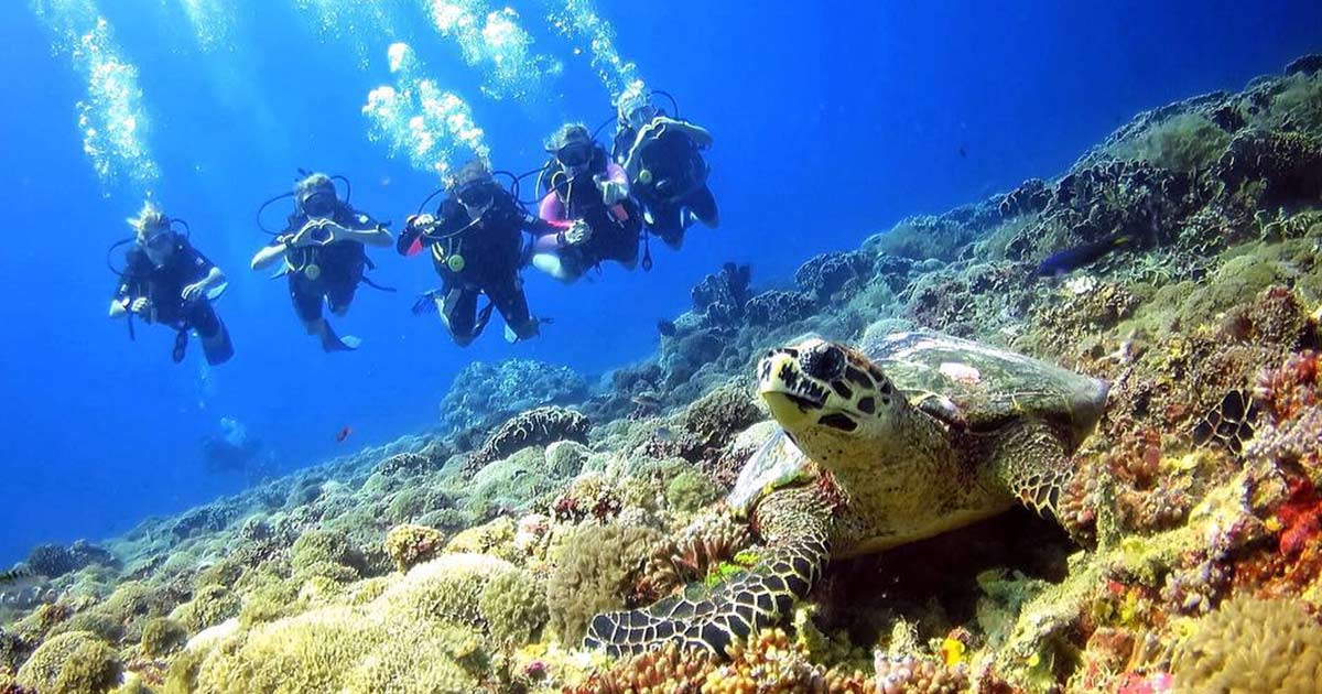 Thailand Among The Most Popular Countries For Scuba Diving