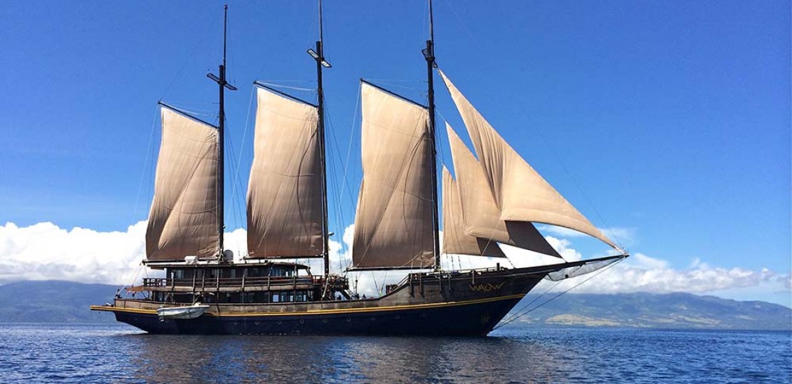 WAOW Liveaboard indonesia