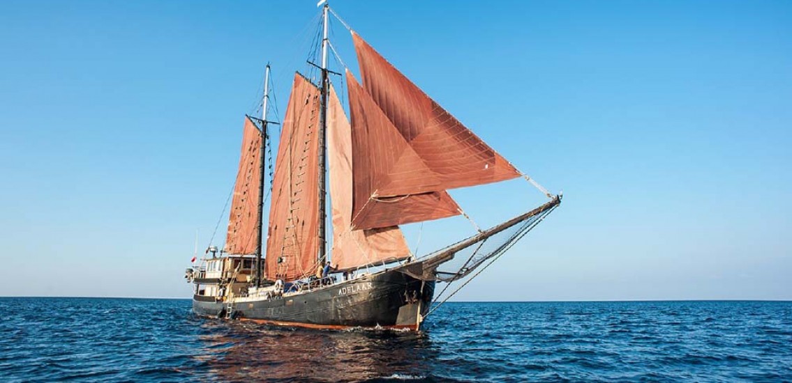 Adelaar liveaboard Komodo Indonesia diving