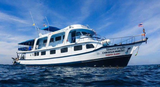 Dolphin Queen Liveaboard