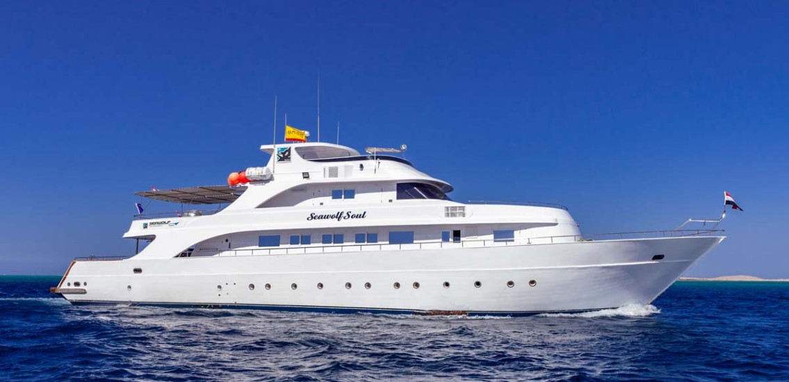 Seawolf Soul Red Sea diving liveaboard