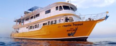 MV Gentle Giant