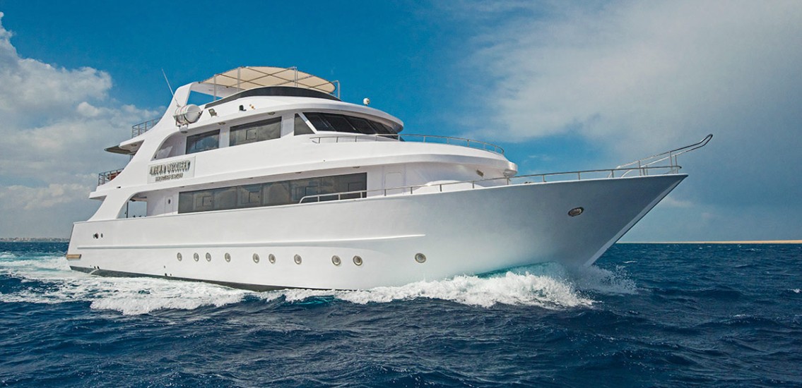 Discovery 1 Live aboard Egypt