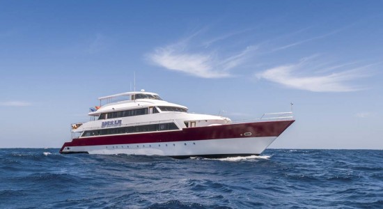 Emperor Elite Liveaboard Red Sea Egypt