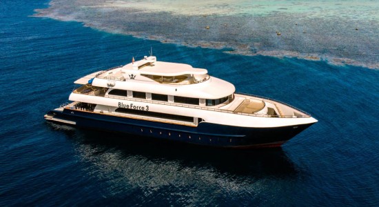Blue force 3 liveaboard