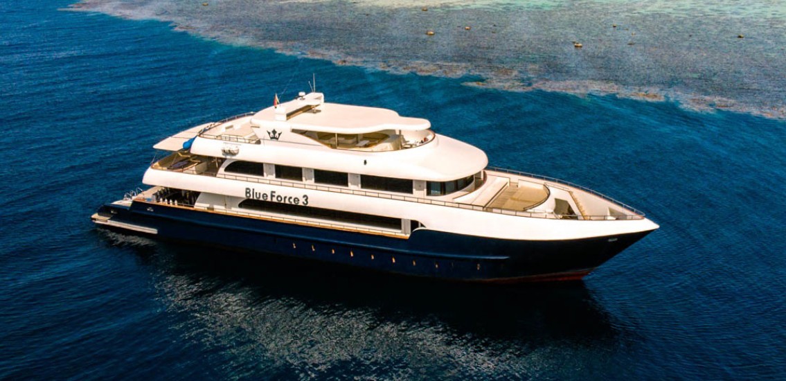 Blue force 3 liveaboard