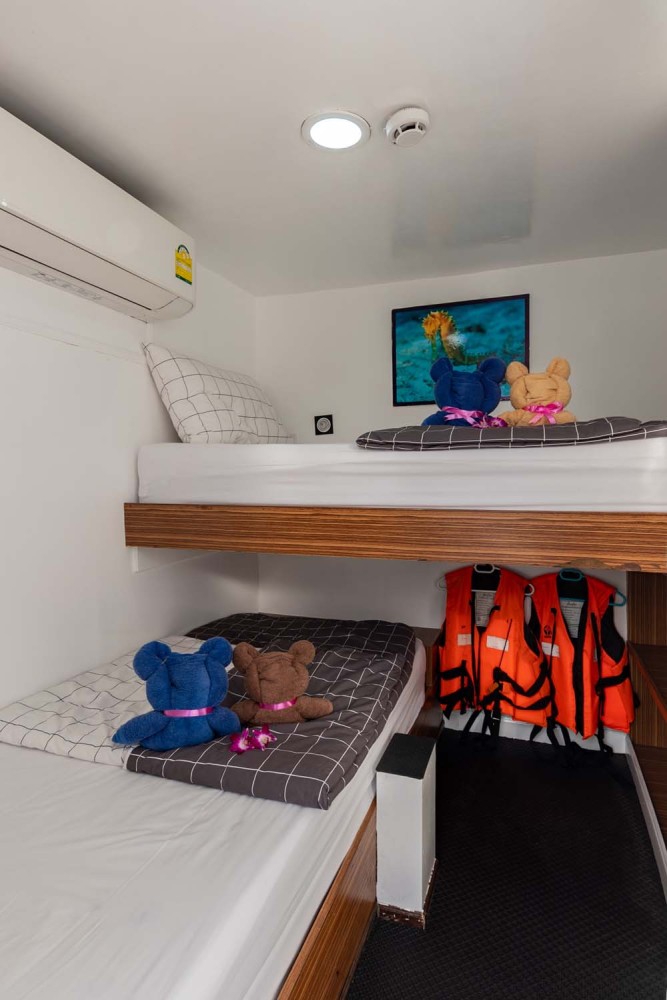 comfort twin guest cabin
