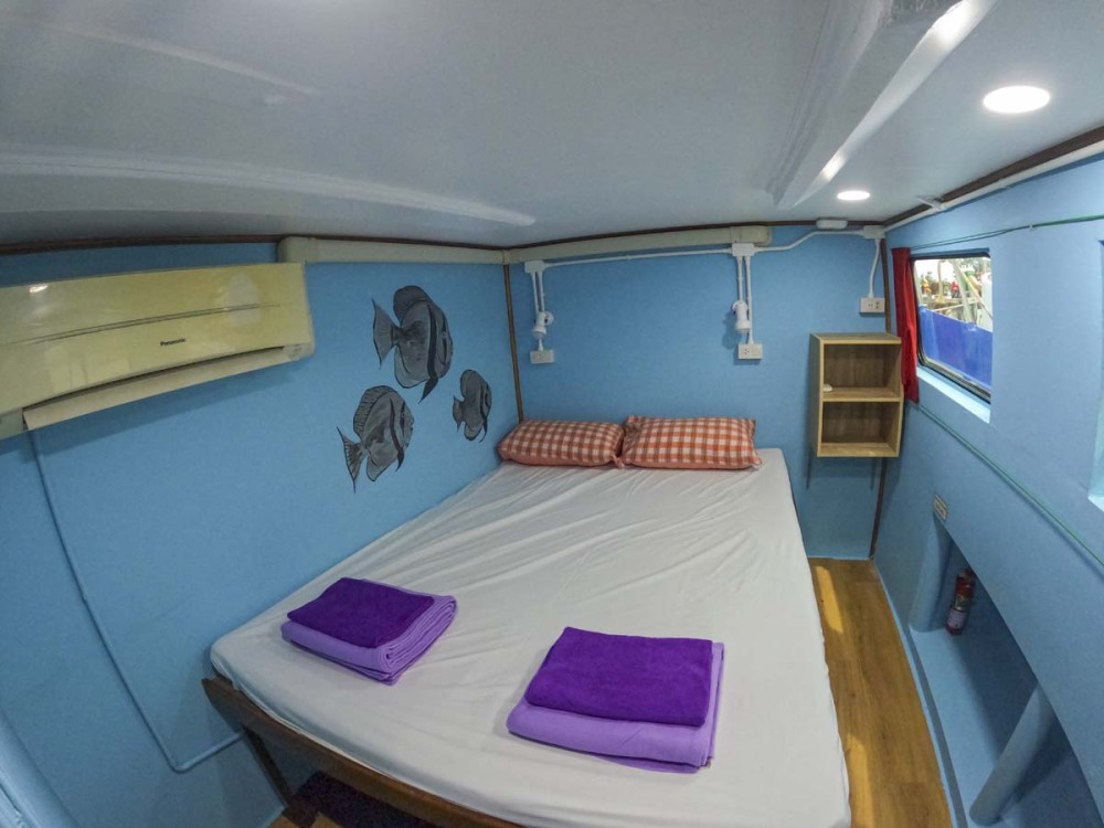 double cabin