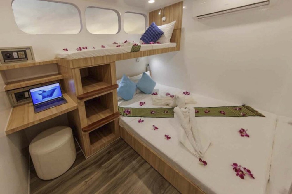 Deluxe Cabin