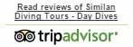 tripadvisor