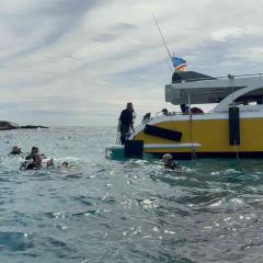 Gary Wilkinson  MV Stingray December 2025