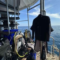 Shon MV Andaman Israeli