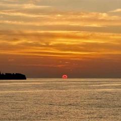 Boris MV Koon9 French