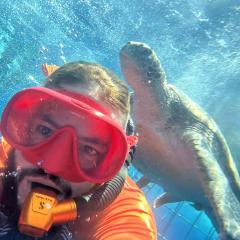 Thiry Renaud Similan Quest Belgian