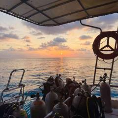 Dunaway MV Pawara Swiss