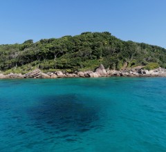 Tryllehest Similan Quest