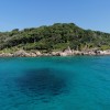 Tryllehest Similan Quest