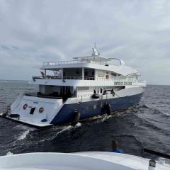 Matt MV Emperor Explorer 2025-08-24 00:00:00