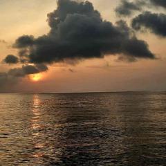 Dan MV Koon9 Romanian