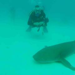 Bob Gilmour MV Carpe Diem Scuba Diving