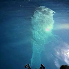 Bob Gilmour MV Carpe Diem