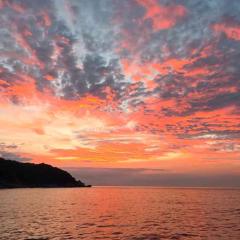 Helene MV Manta Queen 6